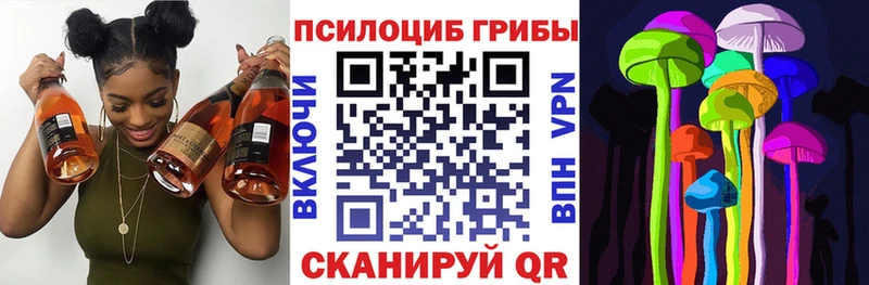 Галлюциногенные грибы мухоморы  Заводоуковск 